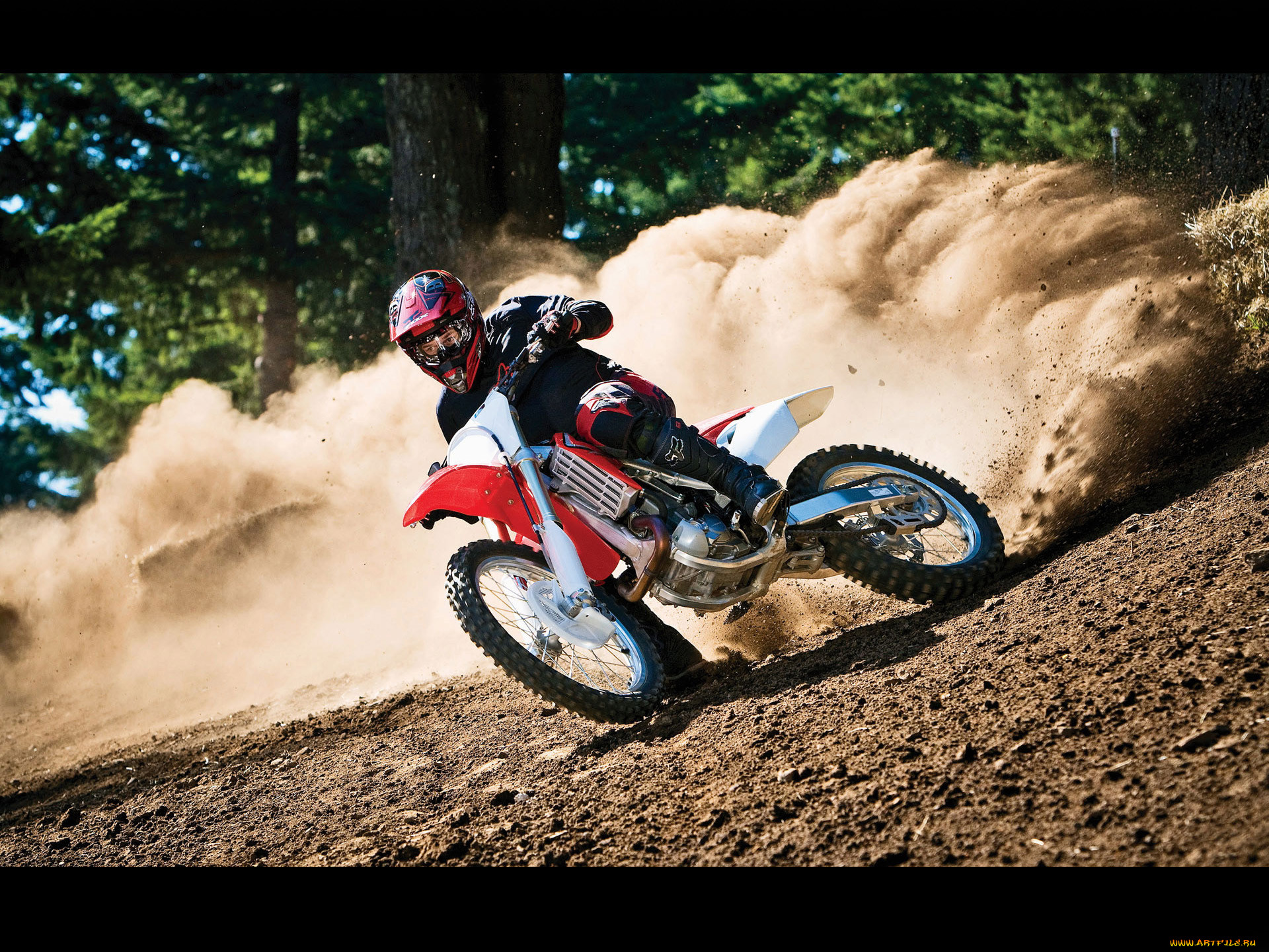 , honda